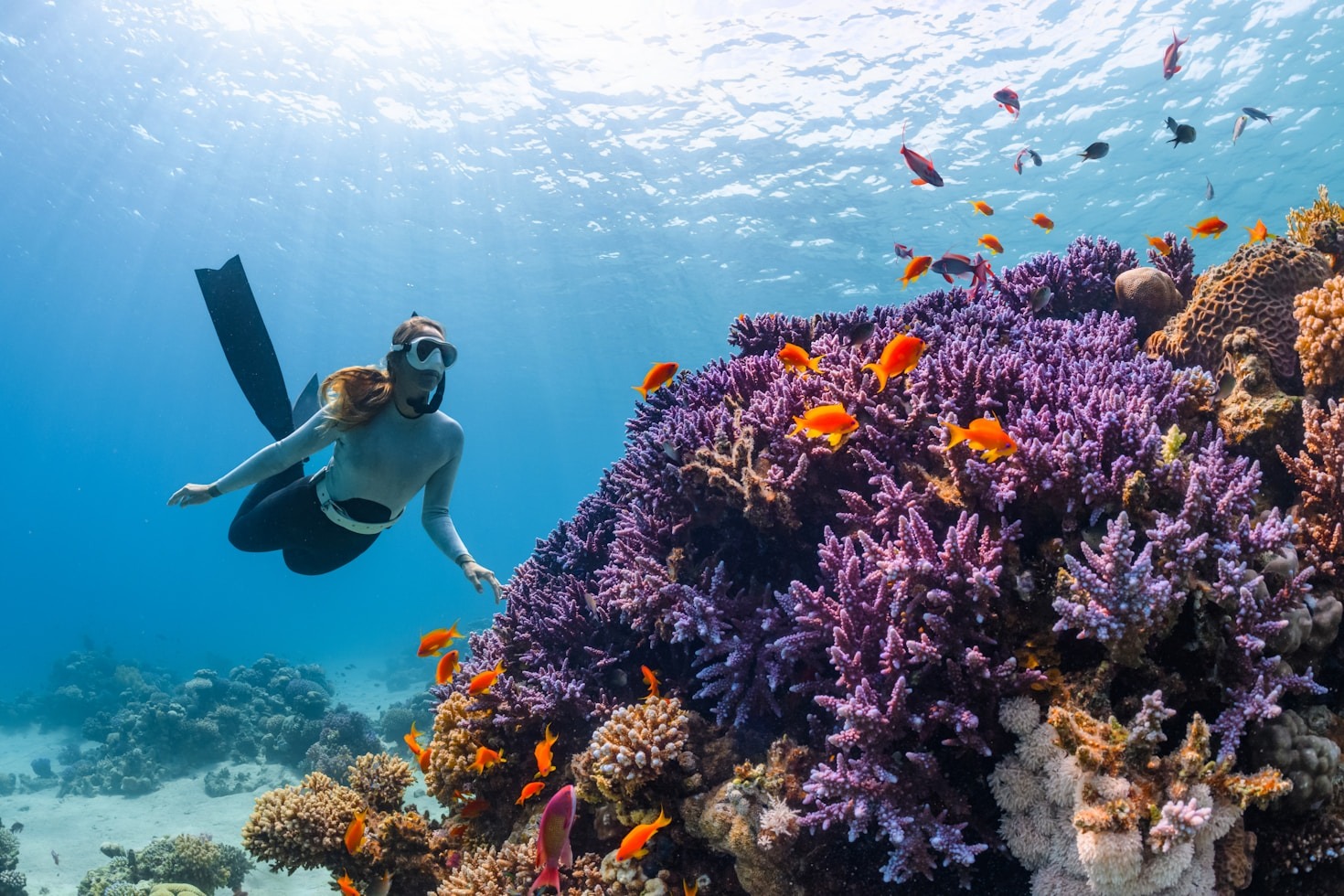 Underwater world of Nusa Penida – what to see?