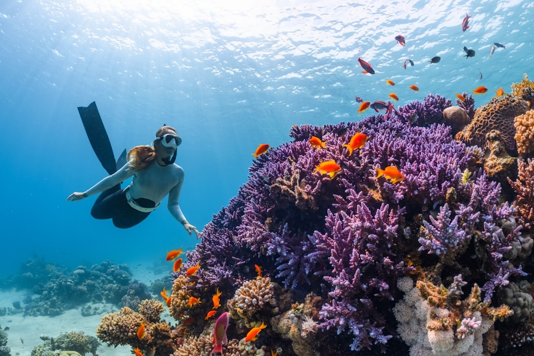 Shore Diving vs. Boat Diving in Bali – What’s the Difference?