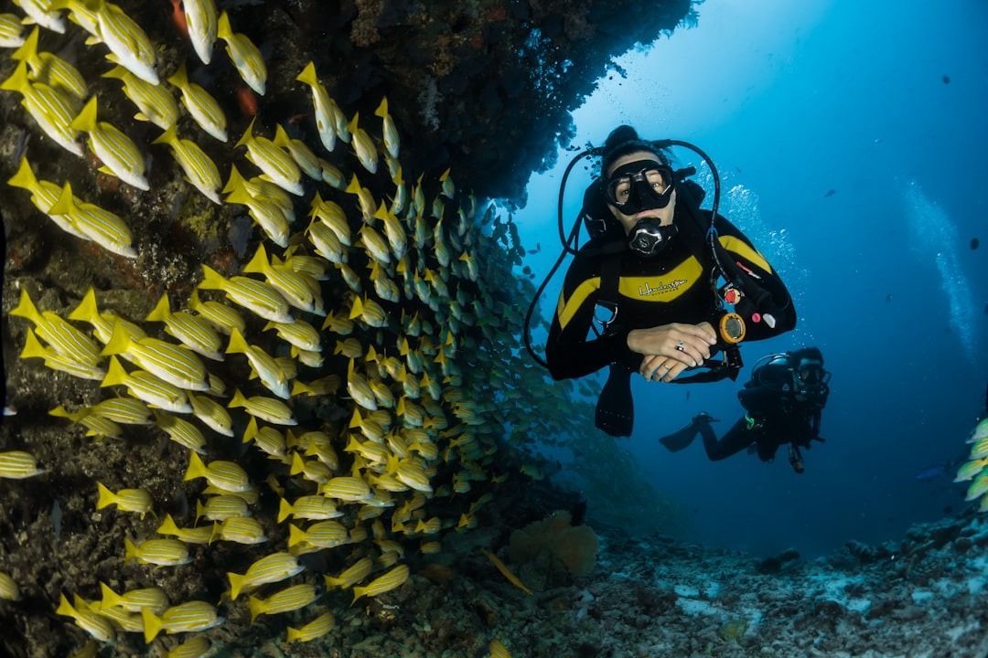 Best Bali diving